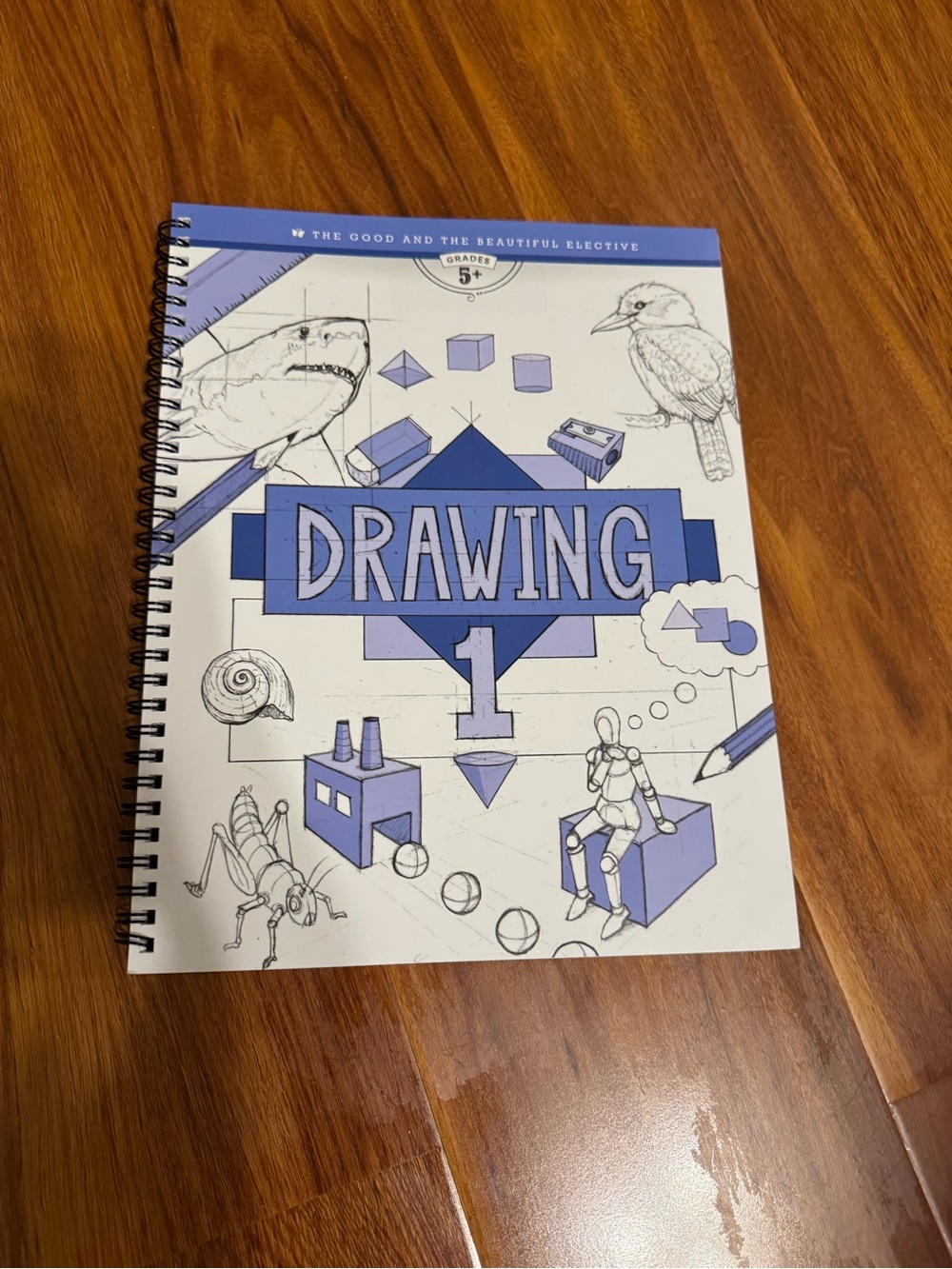The Good and the Beautiful Elective Drawing 1 Workbook